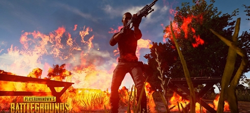 品牌效应 品牌效应