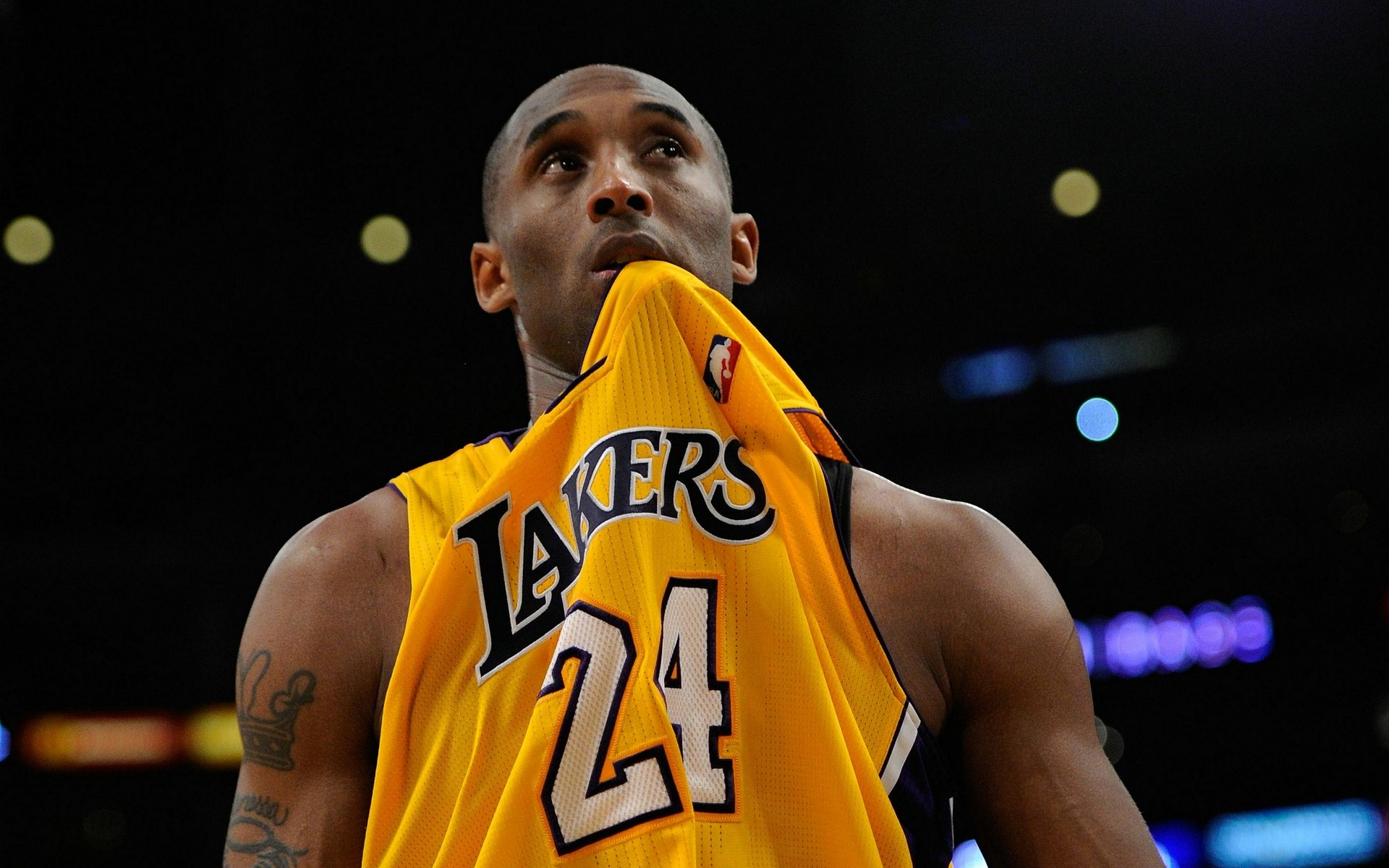 以适应不同 以适应不同