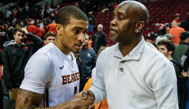 凭借其出色 凭借其出色