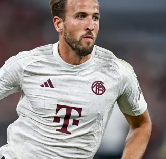 业化路径 业化路径